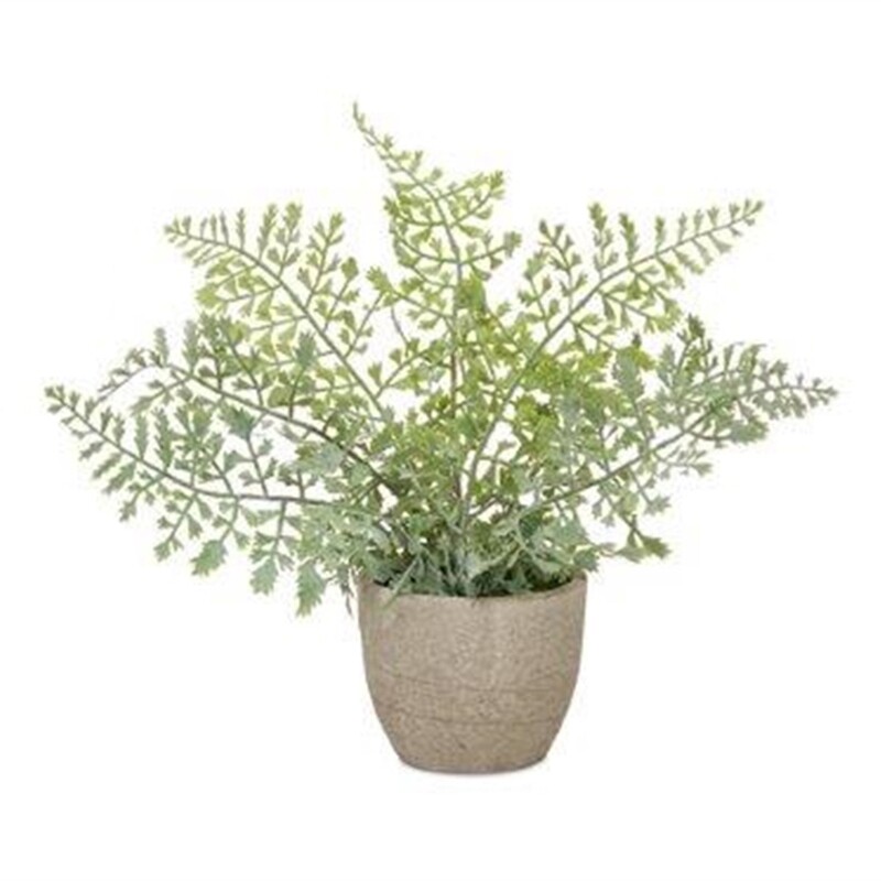 1B181 FernPot