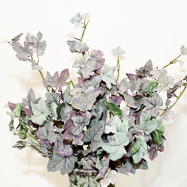 1B126 Mauve Ivy