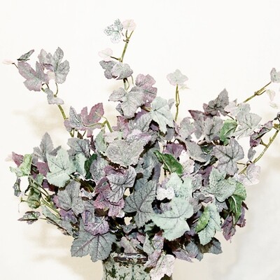 1B126 Mauve Ivy