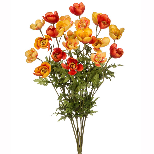 1B166 Poppy Org Rd Mix