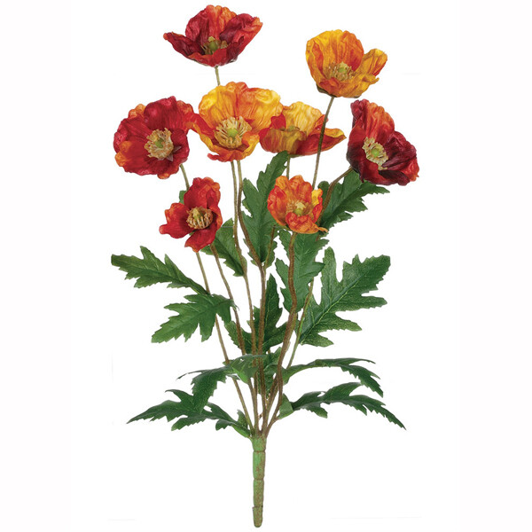 1B165 Poppy Org Mix