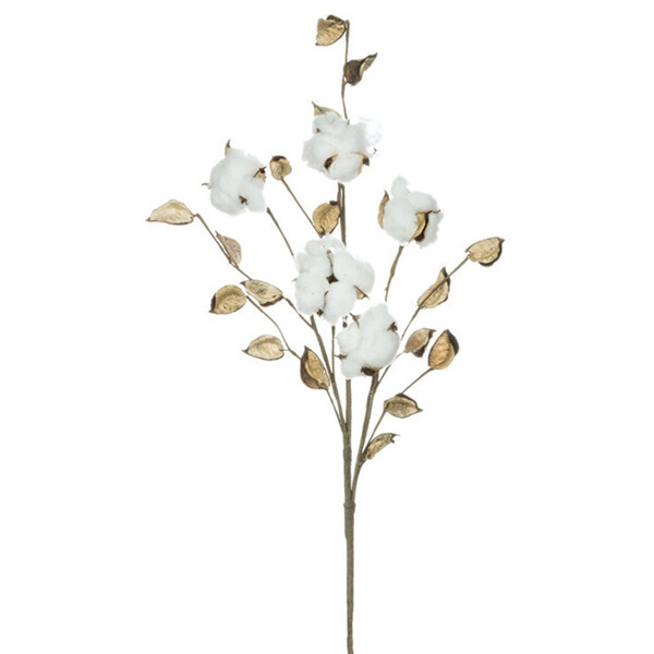1B167 Cotton Pick