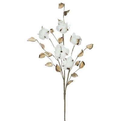 1B167 Cotton Pick