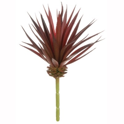 1B171 Spiky Succulent
