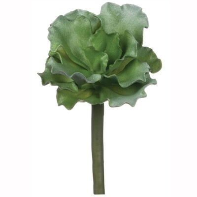 1B169 Ruffled Succulent