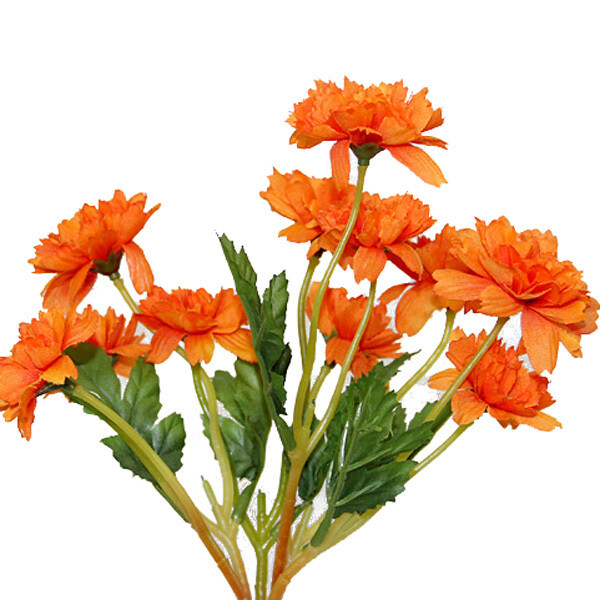 1B772O Marigold Org