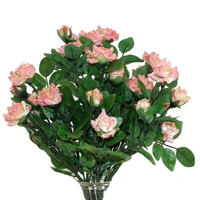 1B776 Sweetheart Roses