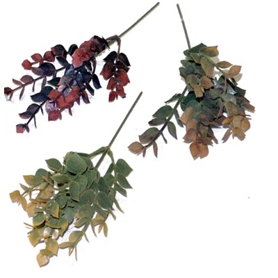 1B804 Eucalyptus Pk