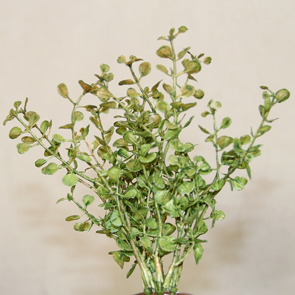 1B838P Baby Grass Pick Green Small