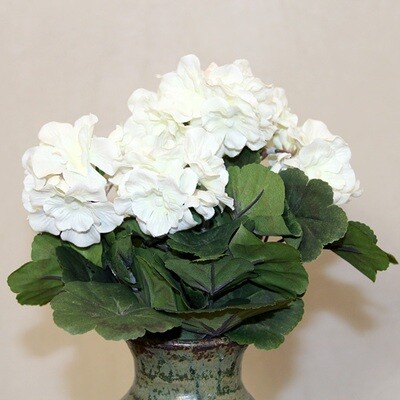 1B852W Geranium White Small