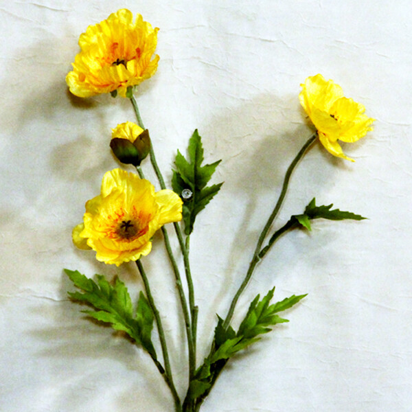 1B896 Poppy Lemon Yellow