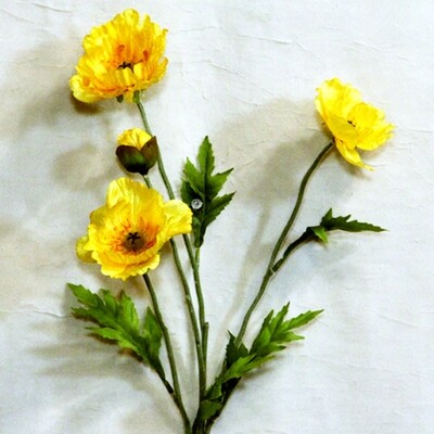 1B896 Poppy Lemon Yellow