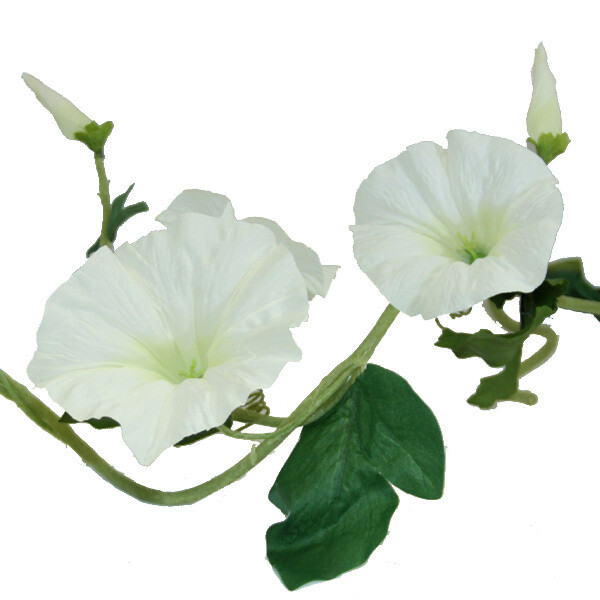 1B919 Morning Glory Garland White