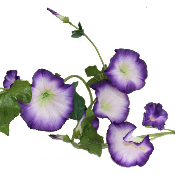 1B921 Morning Glory Garland Purple