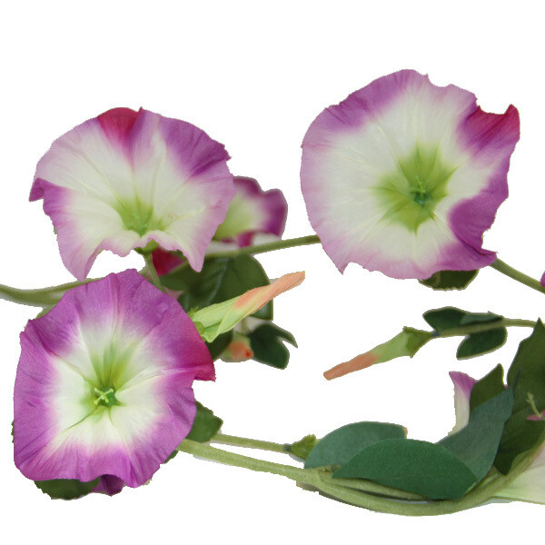 1B920 Morning Glory Garland Magenta