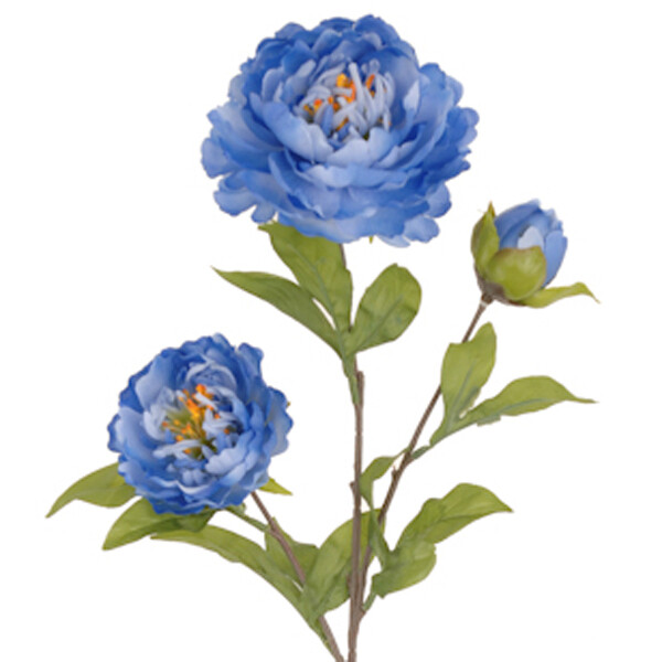 1B963 Cobalt  Blue Peony