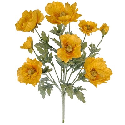 1B991 GoldYlw Poppy