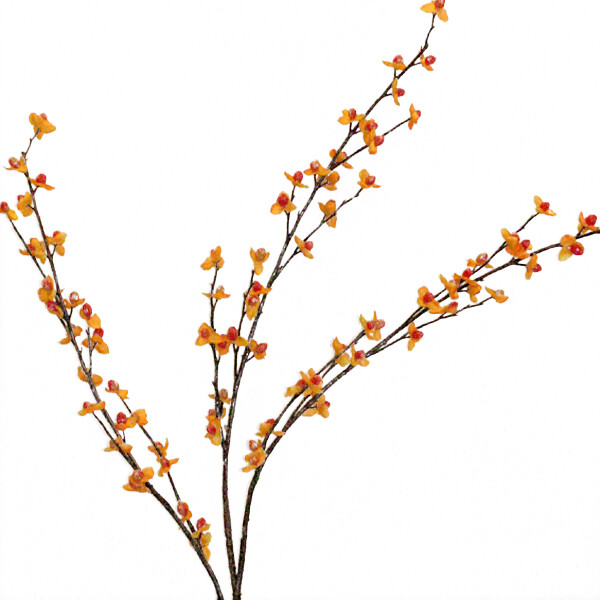 1BF034 Bittersweet Spray