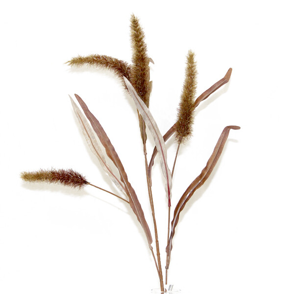 1BF013 Cattail Grass
