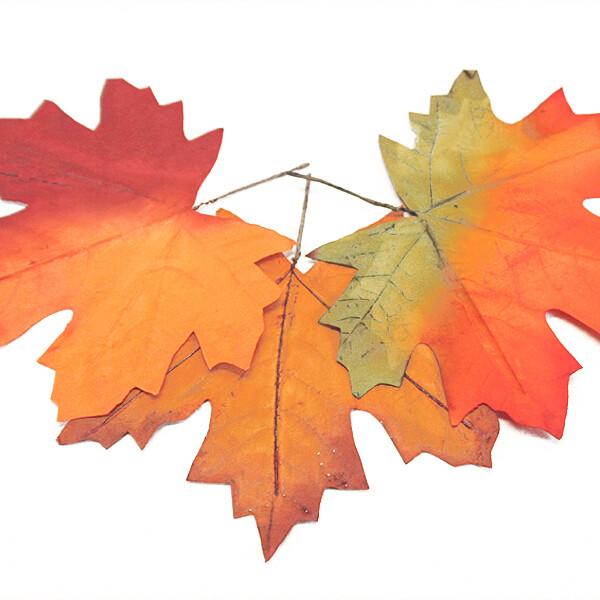 1BF055L Maple Leaves 6ct Lg