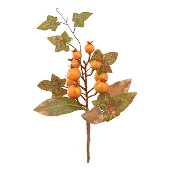 1BF085 Apricot Crab Apple