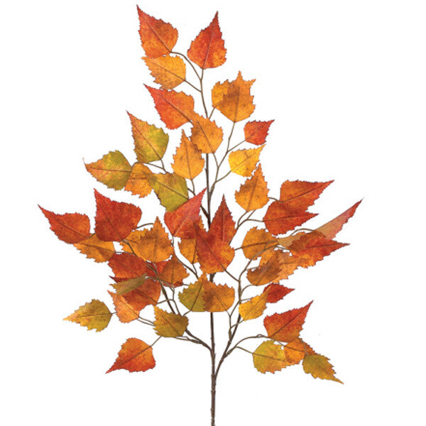 1BF115 Birch Spray