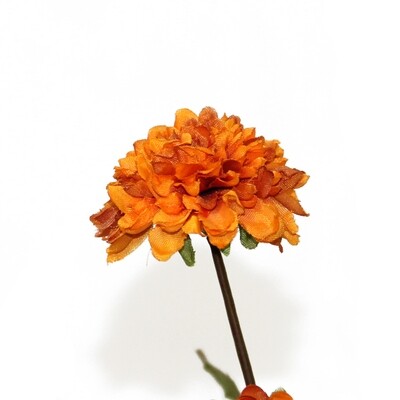 1BF119 Pom Pom Mum Light Orange