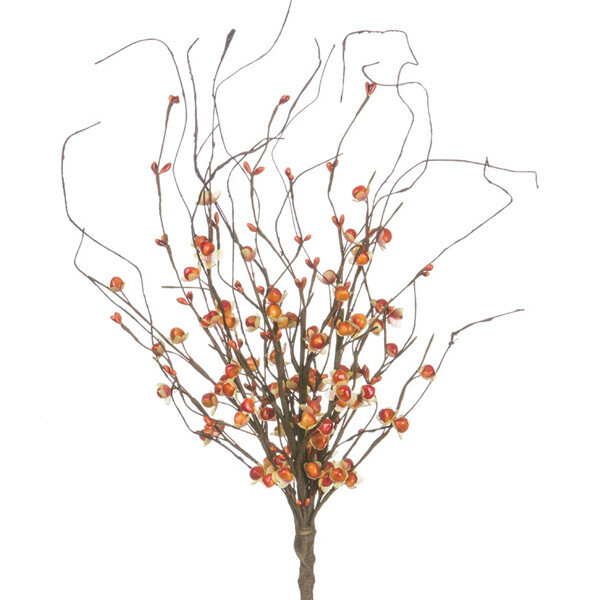 1BF126 Bitterswt Twig