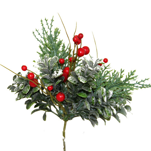 1BW001 Juniper Berry Pk