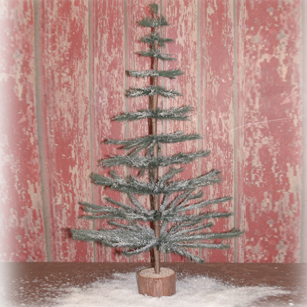 1BW013 Scanty Pine