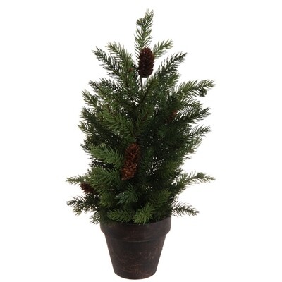 1BW022L Potted Pine 18