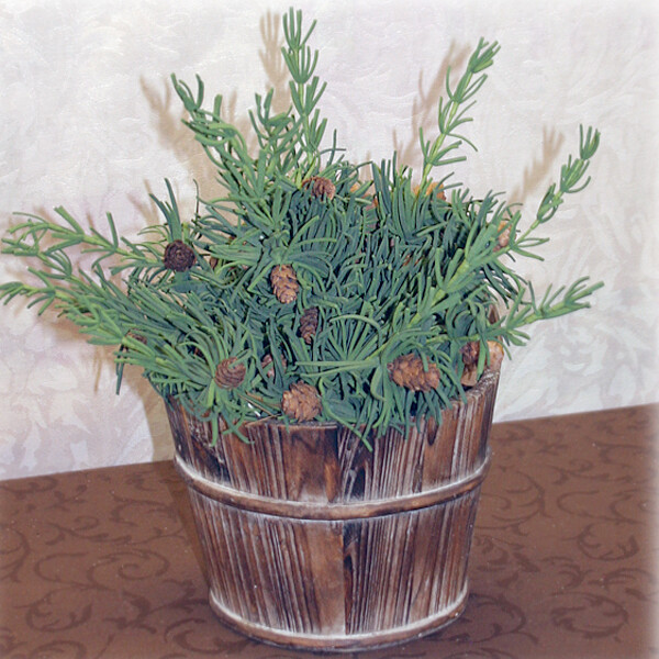 1BW018 Pinon Pine Bunch