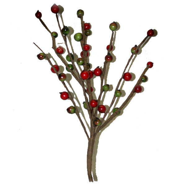1BW027 Red Green Berry Pick