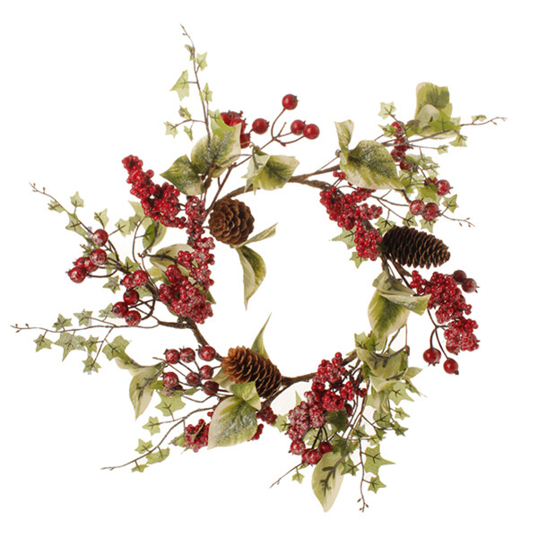 1BW084 Var Winter Ivy WR
