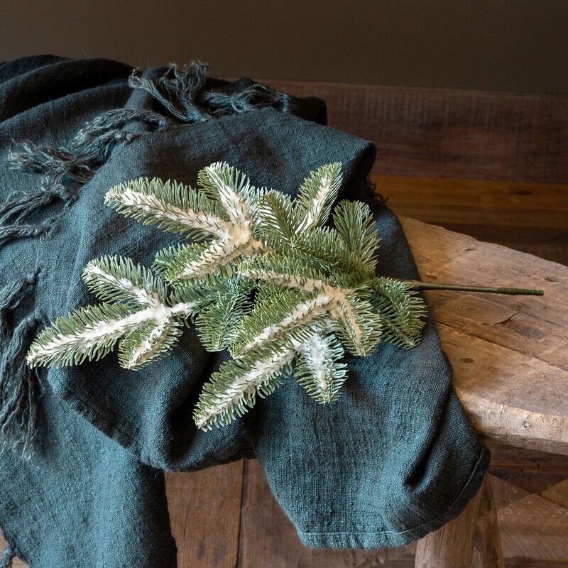 1BW289 Blue Spruce Spray