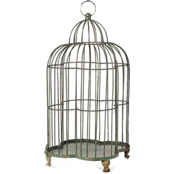 4B127L Grn Ft Birdcg Lg
