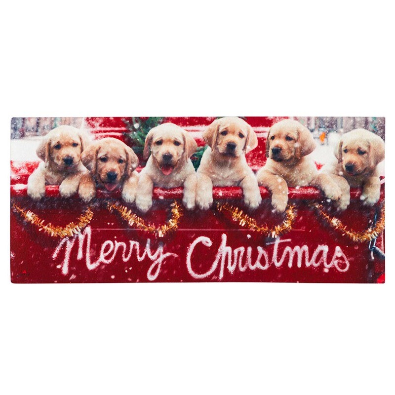 DO252M Merry Litter Switch Mat