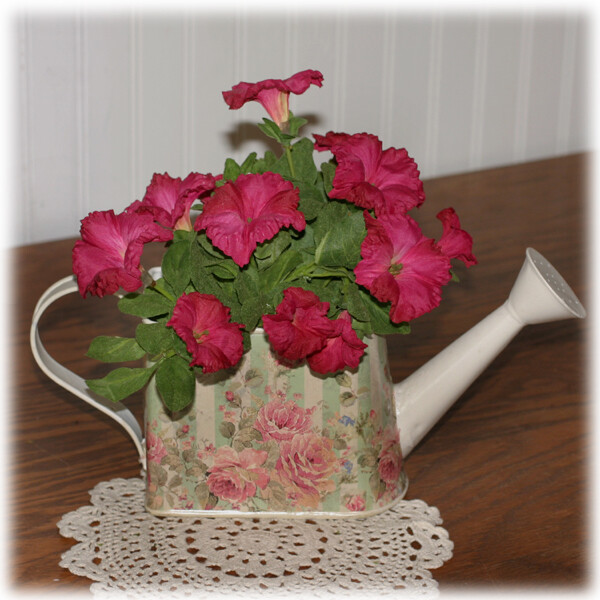 GP250P Rose WC Rect