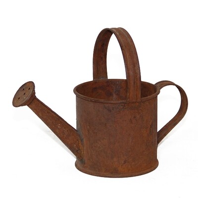 GP288 Rust Watering Can Sm