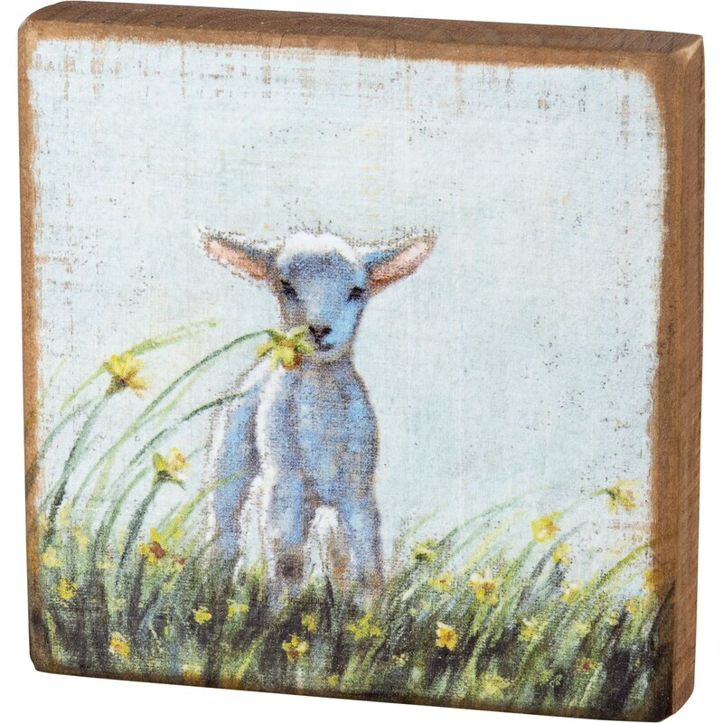 AC217 Lamb