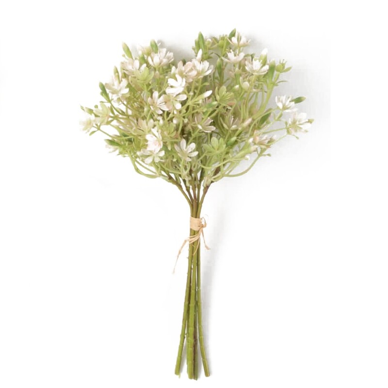 1B699 Yarrow Clusters