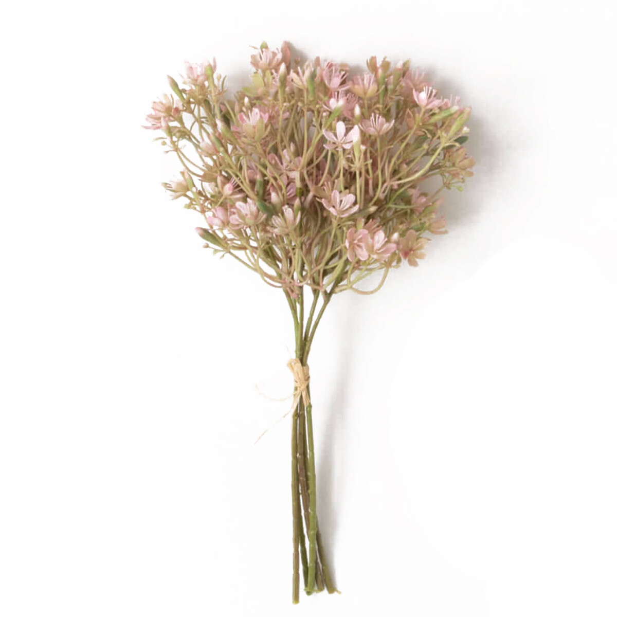 1B699 Yarrow Clusters, Color: Pk
