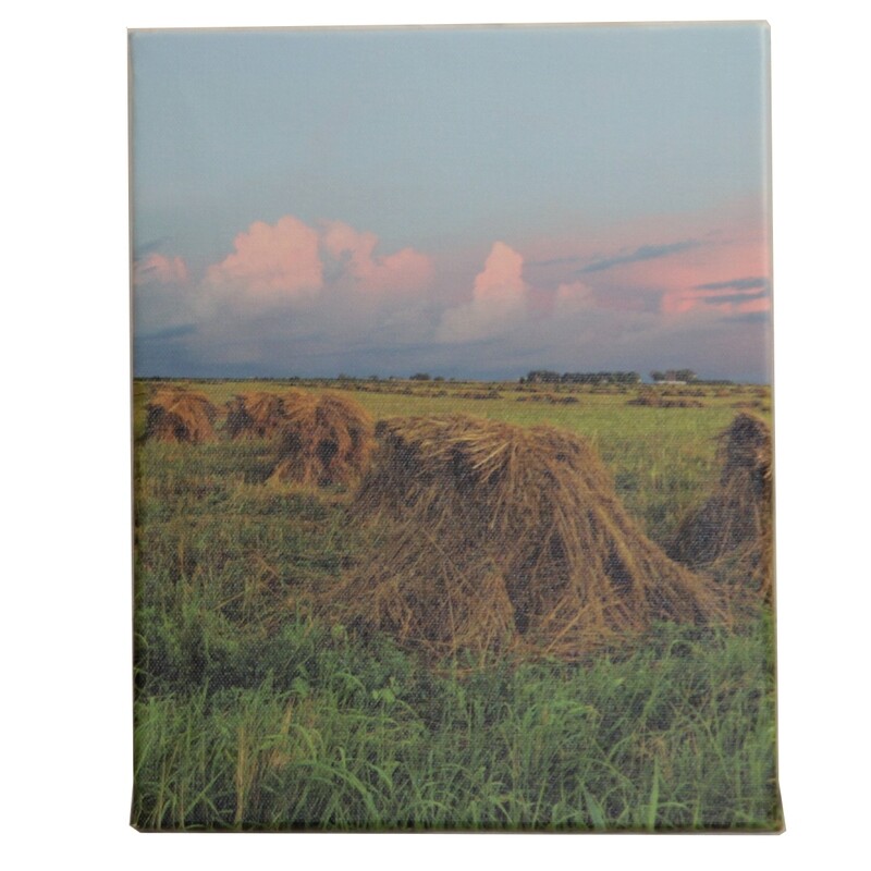 CV322 Hay