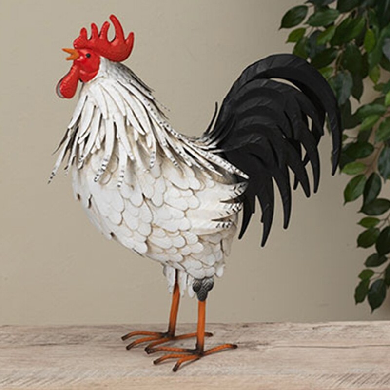 DF127  White Rooster