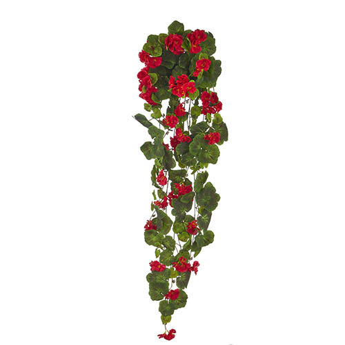 1B086 Cascading Geraniums