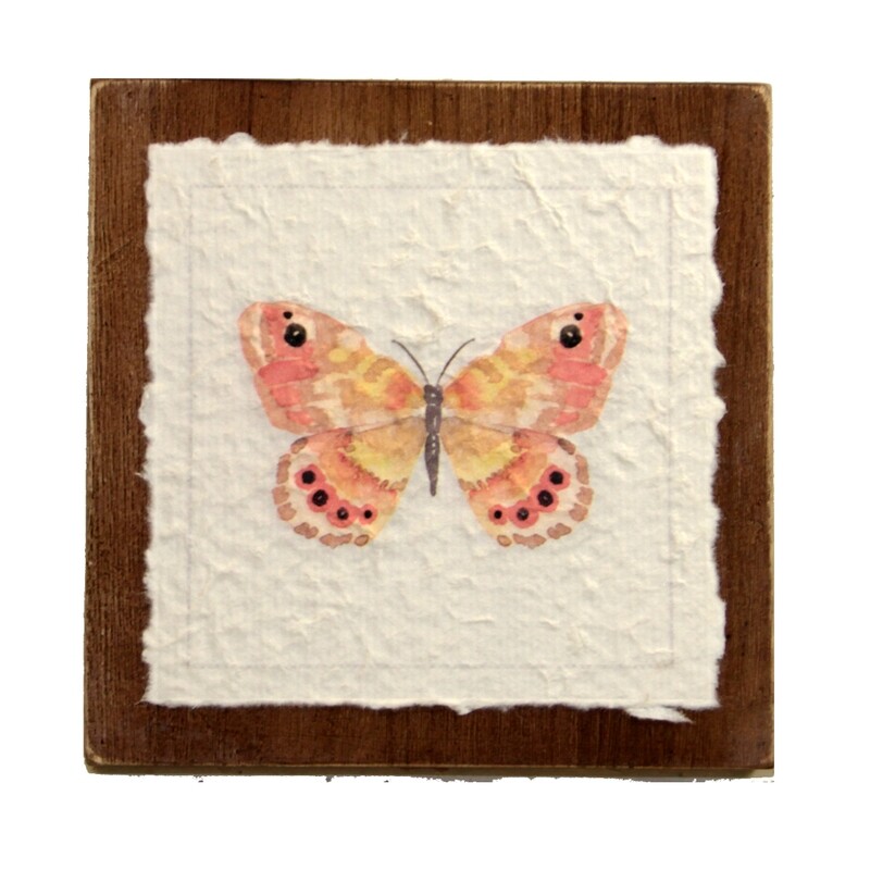 WA257 Watercolor Butterflies on Paper
