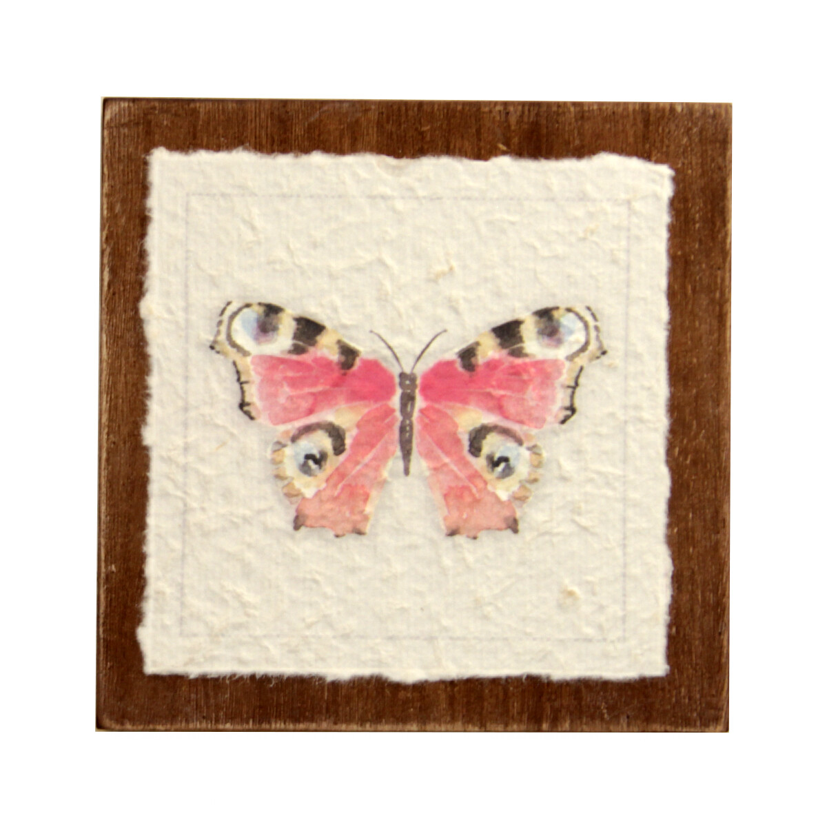 WA257 Watercolor Butterflies on Paper, Style: Pk