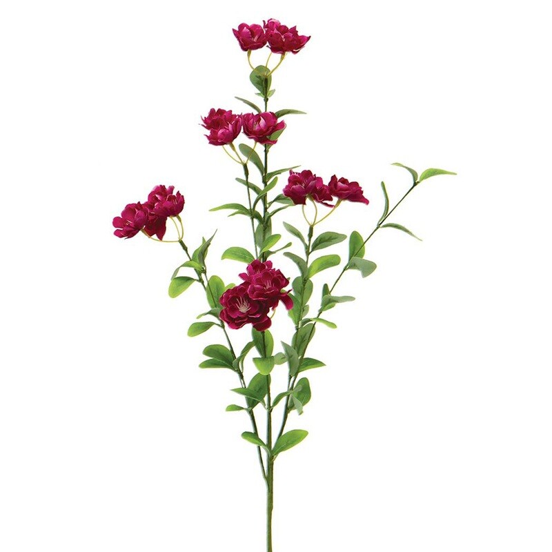 1B092 Azalalea Stems