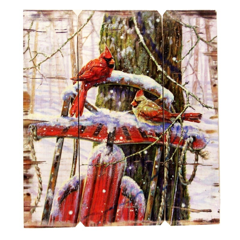 WA096 Cardinal on Sled