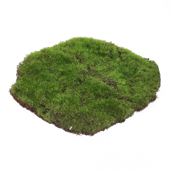 FA224 Moss Round